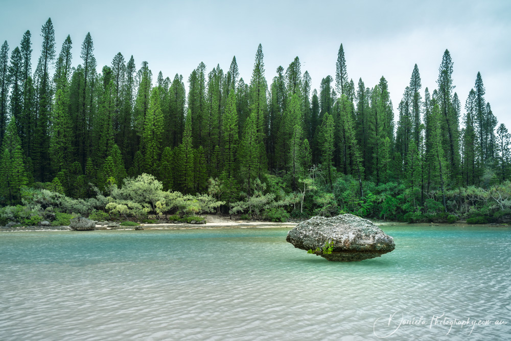Isle of Pines Nature corner at the secluded Natural Pool in New Caledonia